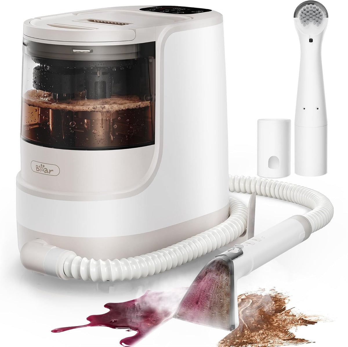 Bear canapé, 1700 W, Noir, SC 3 Aspirateur eau et tissus d'ameublement, aspirateur de tapis, aspirateur eau et poussière avec fonction vapeur pour s